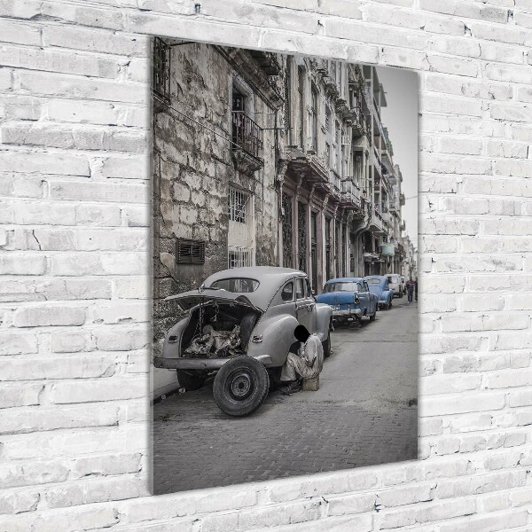 Quadro stampa su vetro verticale Lada