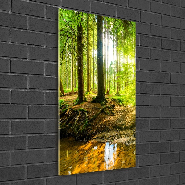 Quadro in vetro verticale Il sole nella foresta