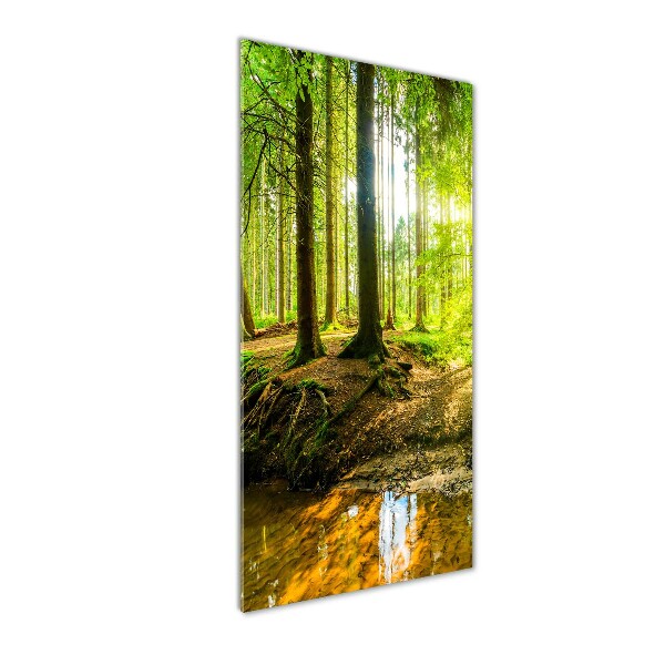 Quadro in vetro verticale Il sole nella foresta