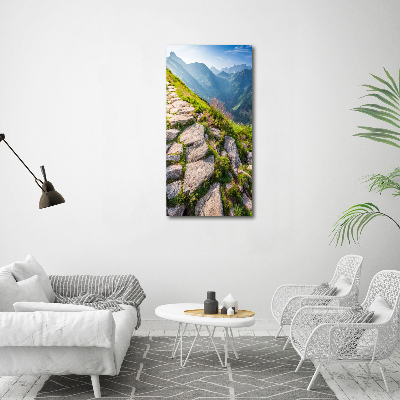 Quadro di vetro verticale Sentiero di montagna