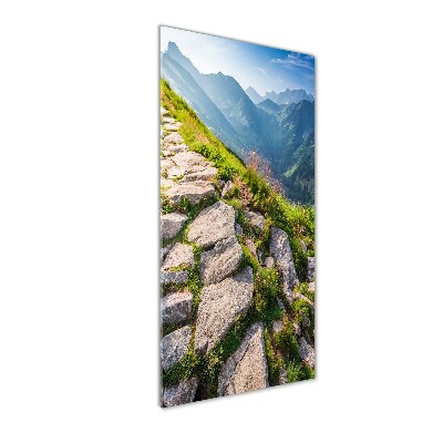 Quadro di vetro verticale Sentiero di montagna