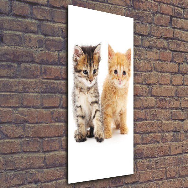 Quadro di vetro verticale Gatto grigio e rosso