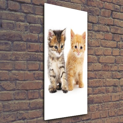Quadro di vetro verticale Gatto grigio e rosso