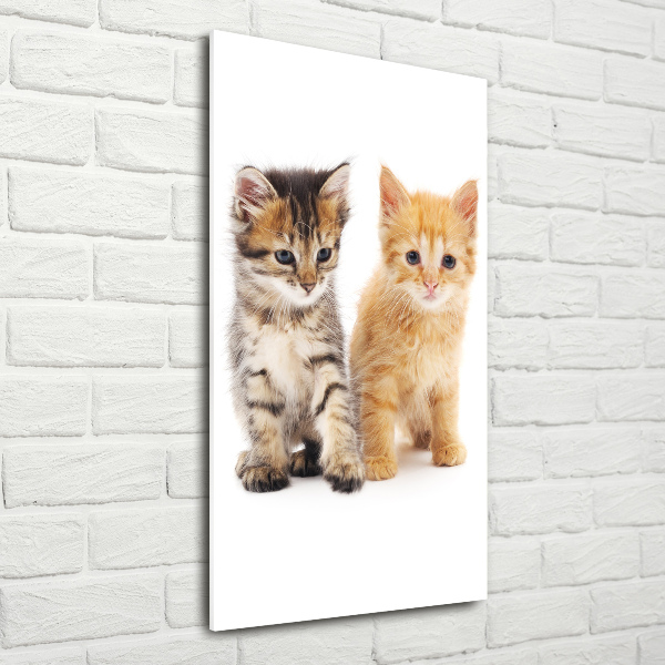 Quadro di vetro verticale Gatto grigio e rosso
