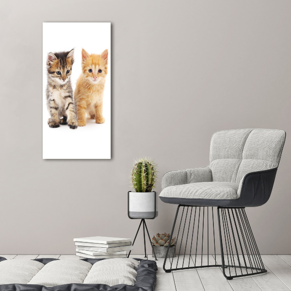 Quadro di vetro verticale Gatto grigio e rosso