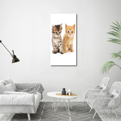 Quadro di vetro verticale Gatto grigio e rosso