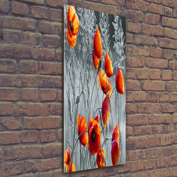 Quadro di vetro verticale Papaveri di campo
