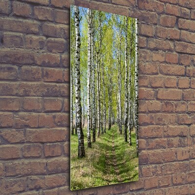Quadro vetro verticale Foresta di betulle