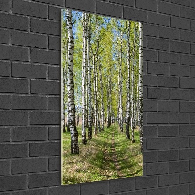 Quadro vetro verticale Foresta di betulle
