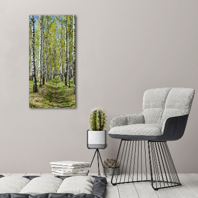 Quadro vetro verticale Foresta di betulle