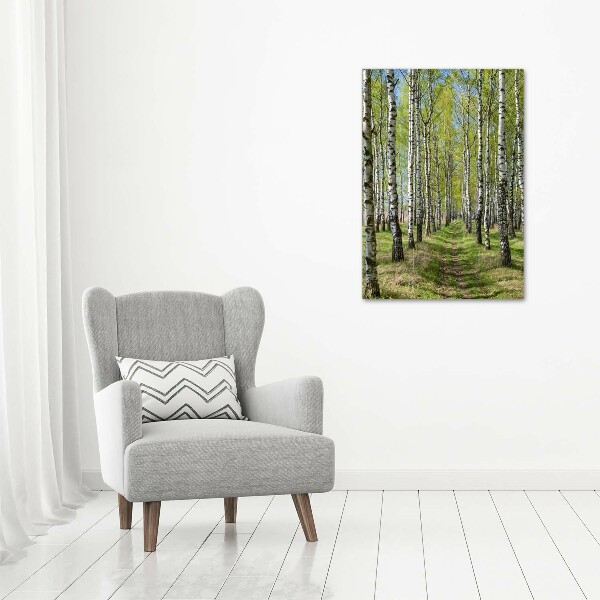 Quadro vetro verticale Foresta di betulle