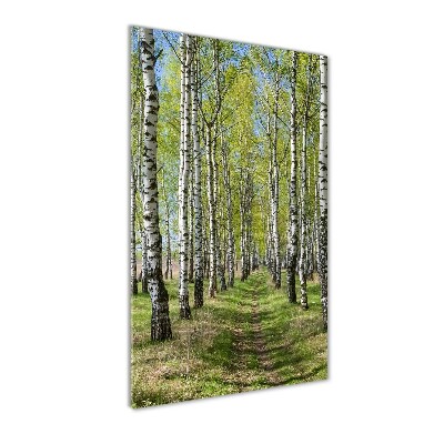 Quadro vetro verticale Foresta di betulle
