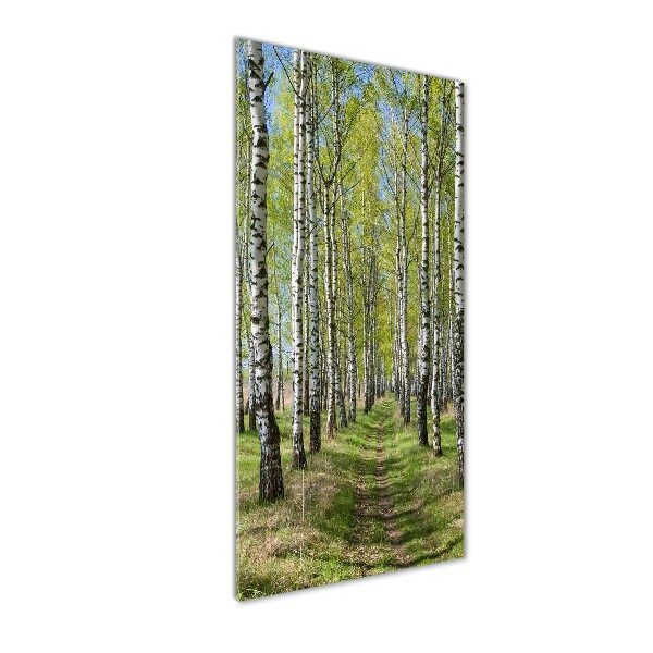 Quadro vetro verticale Foresta di betulle