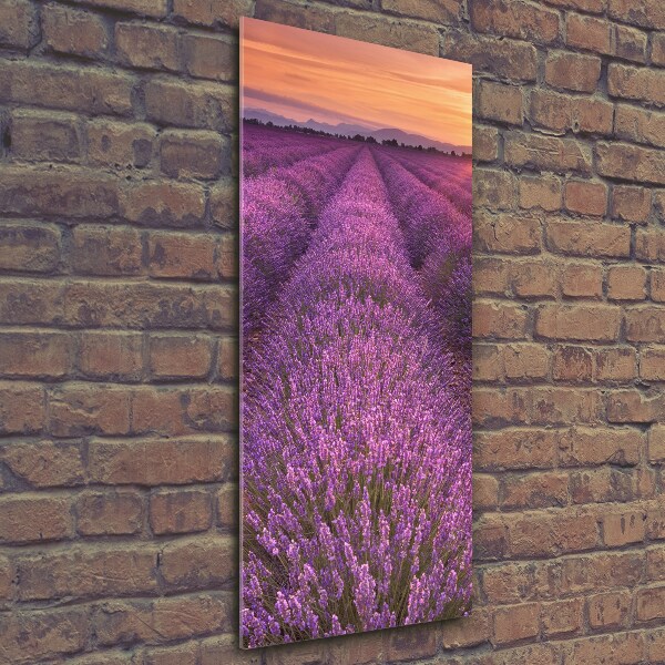 Quadro in vetro verticale Campo di lavanda