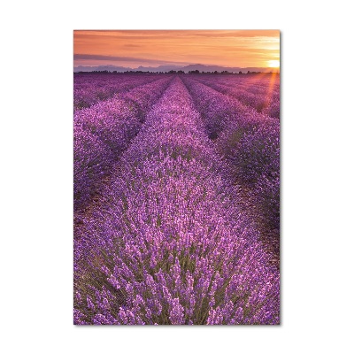 Quadro in vetro verticale Campo di lavanda