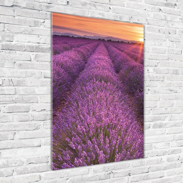 Quadro in vetro verticale Campo di lavanda