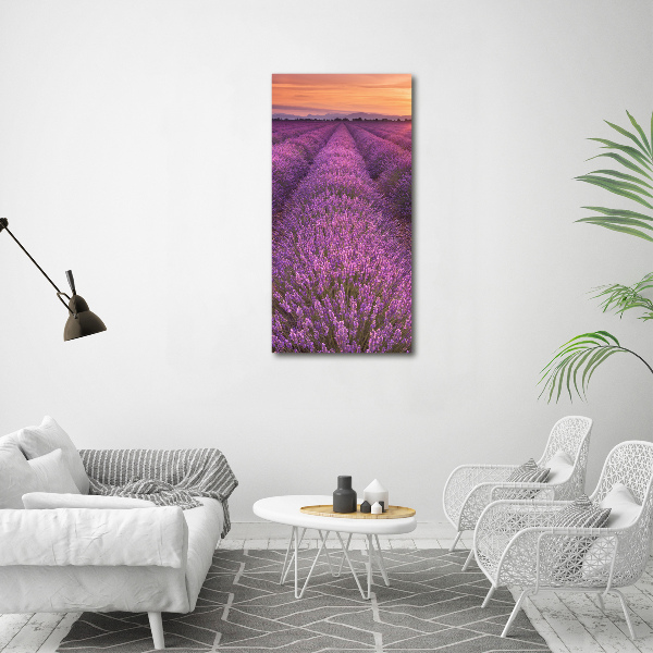 Quadro in vetro verticale Campo di lavanda