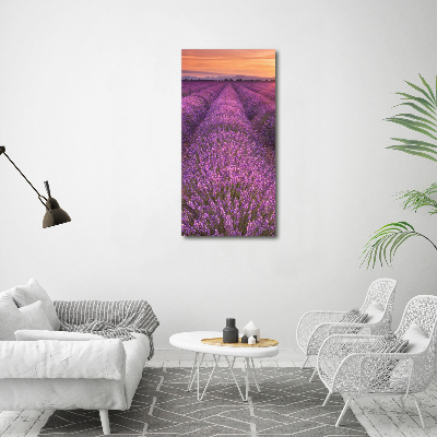 Quadro in vetro verticale Campo di lavanda