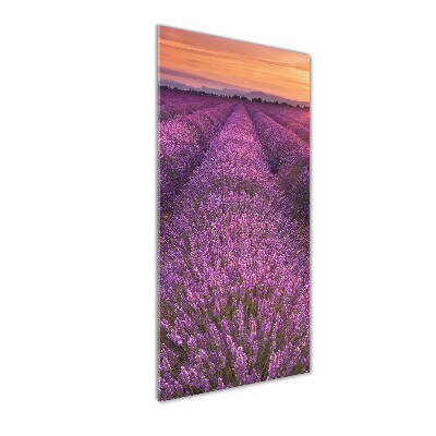 Quadro in vetro verticale Campo di lavanda
