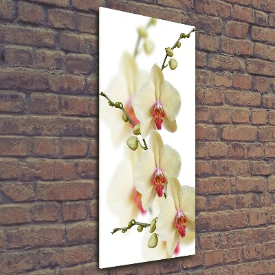 Quadro in vetro verticale Orchidea