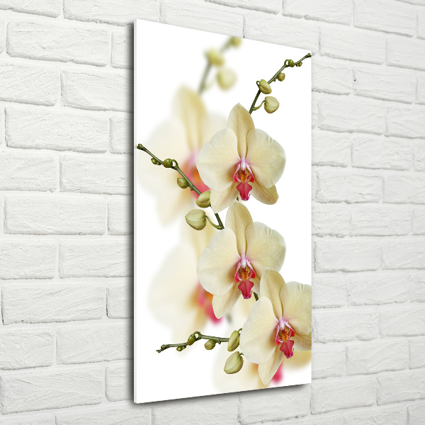 Quadro in vetro verticale Orchidea