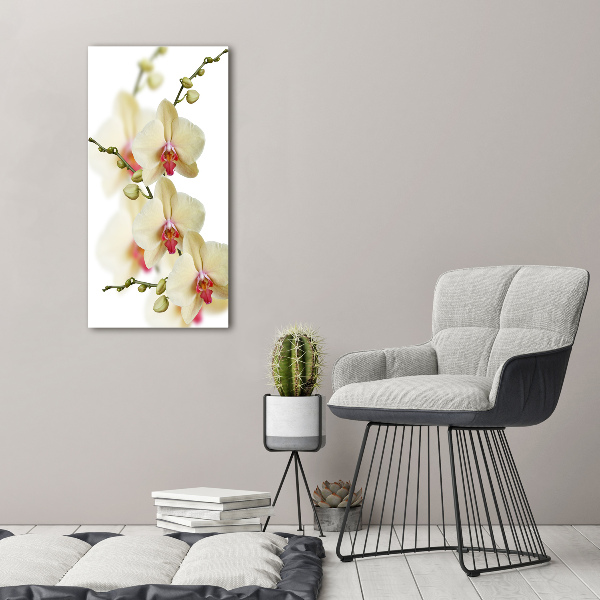 Quadro in vetro verticale Orchidea