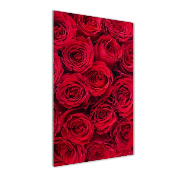 Quadro di vetro verticale Rosa rossa
