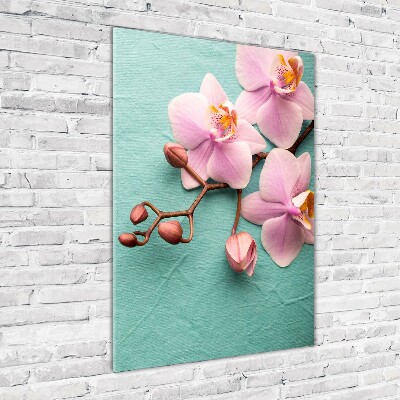 Quadro stampa su vetro verticale Orchidea rosa