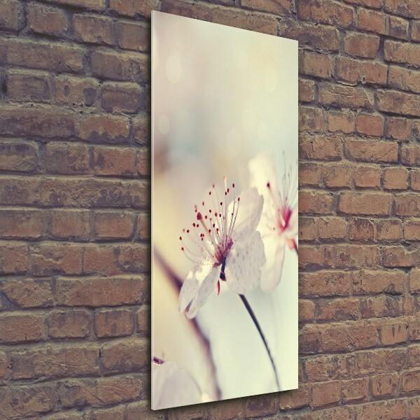 Quadro vetro verticale Fiori di ciliegio