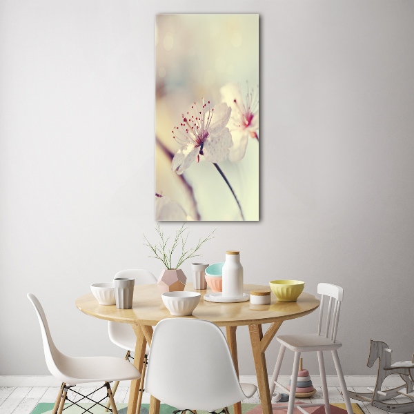 Quadro vetro verticale Fiori di ciliegio