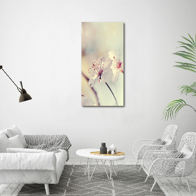 Quadro vetro verticale Fiori di ciliegio
