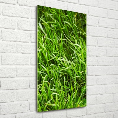 Quadro di vetro verticale Erba