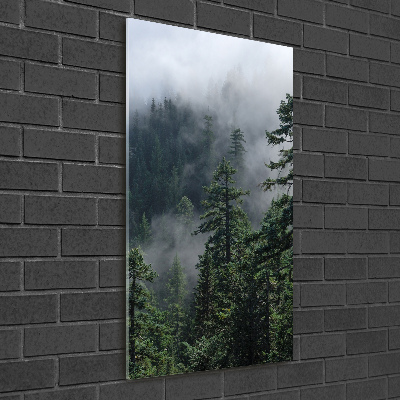 Quadro stampa su vetro verticale Nebbia sulla foresta