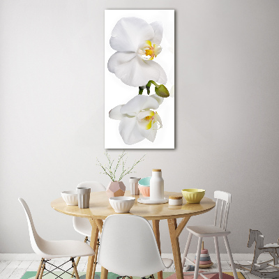 Quadro vetro verticale Orchidea bianca