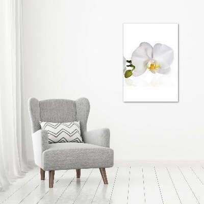 Quadro vetro verticale Orchidea bianca