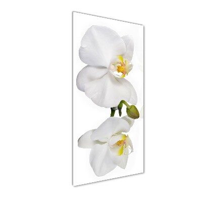 Quadro vetro verticale Orchidea bianca