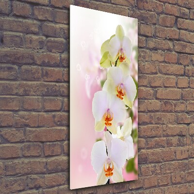Quadro in vetro verticale Orchidea bianca