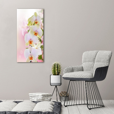 Quadro in vetro verticale Orchidea bianca