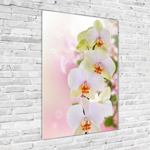 Quadro in vetro verticale Orchidea bianca