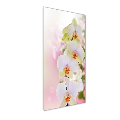 Quadro in vetro verticale Orchidea bianca
