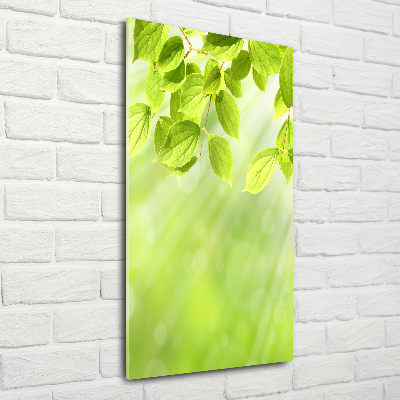 Quadro di vetro verticale Foglie verdi