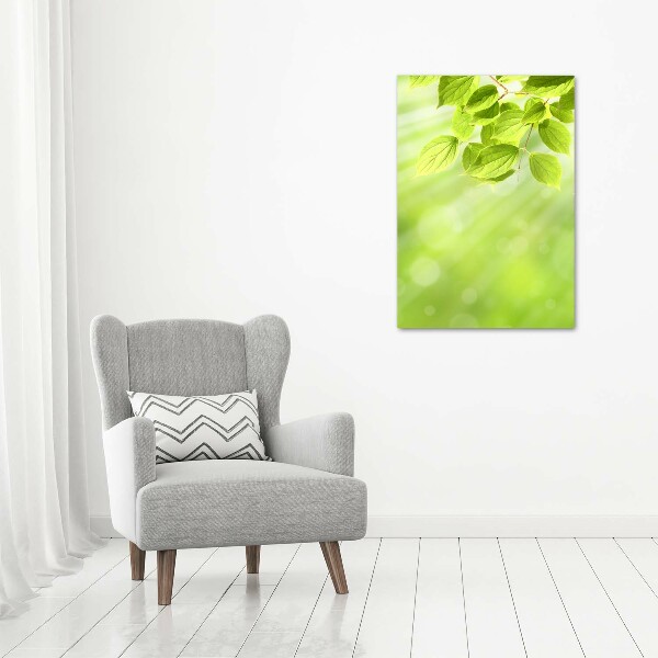 Quadro di vetro verticale Foglie verdi