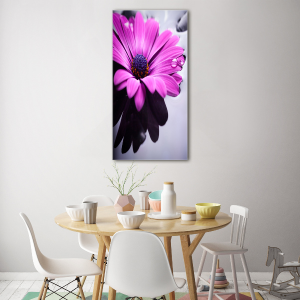 Quadro vetro verticale Gerbera rosa