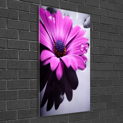 Quadro vetro verticale Gerbera rosa