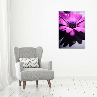 Quadro vetro verticale Gerbera rosa