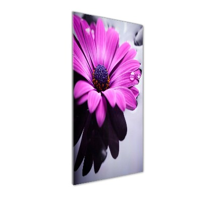 Quadro vetro verticale Gerbera rosa