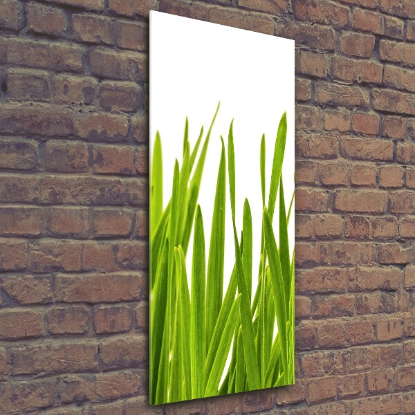 Quadro in vetro verticale Erba verde