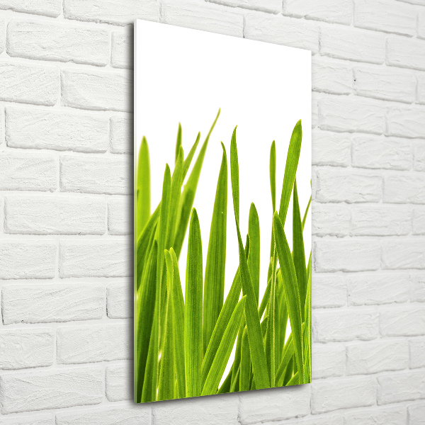 Quadro in vetro verticale Erba verde