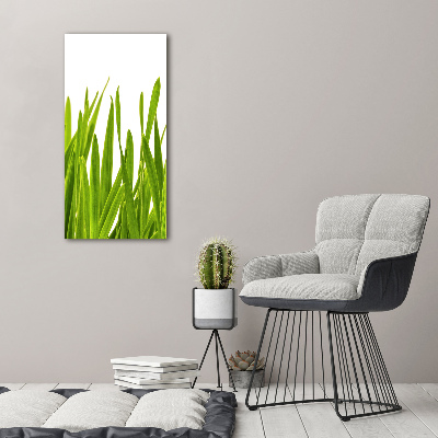 Quadro in vetro verticale Erba verde