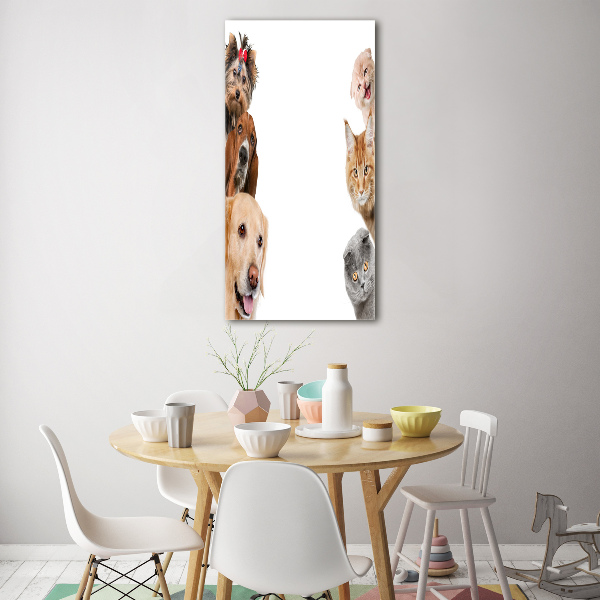 Quadro di vetro verticale Cani e gatti
